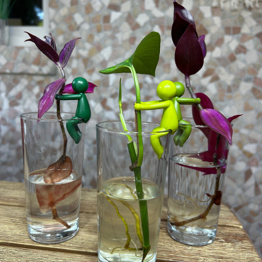 Leafriend Anzuchthelfer 3-er Set