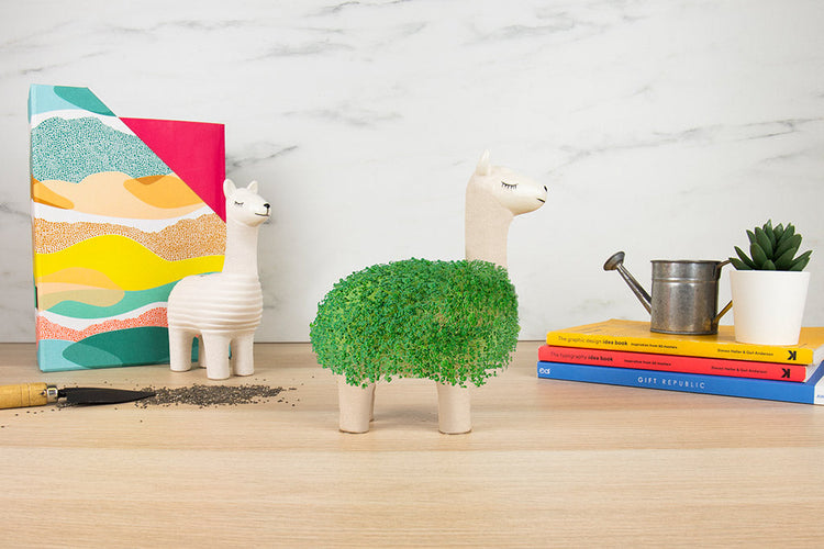 LAMA-RAMA