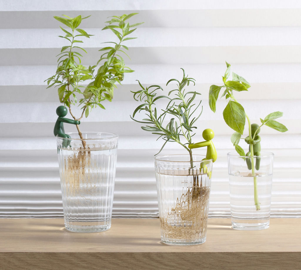 Leafriend Anzuchthelfer 3-er Set