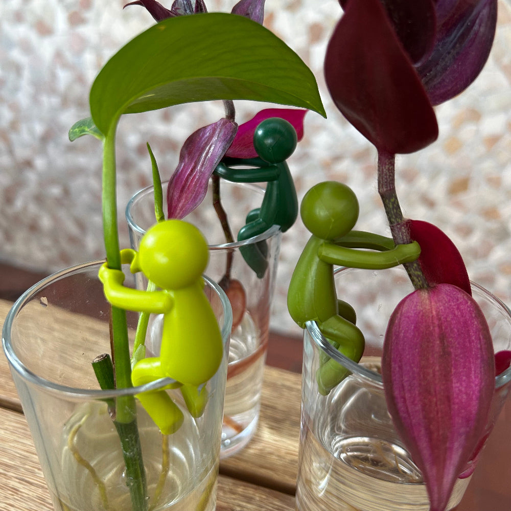 Leafriend Anzuchthelfer 3-er Set