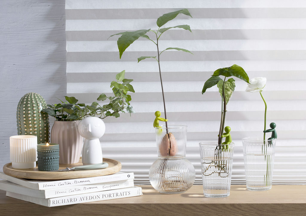 Leafriend Anzuchthelfer 3-er Set