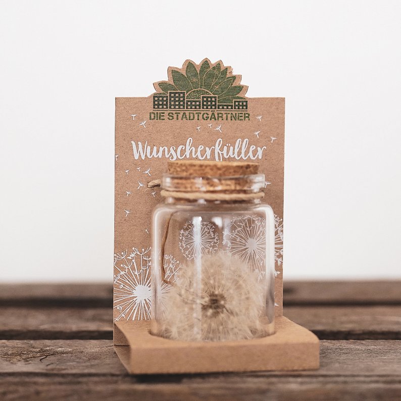 Wunscherfüller große Pusteblume im Glas