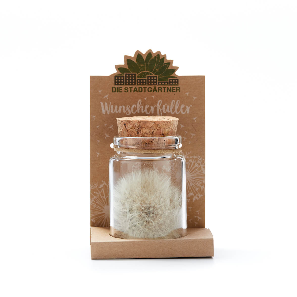 Wunscherfüller große Pusteblume im Glas
