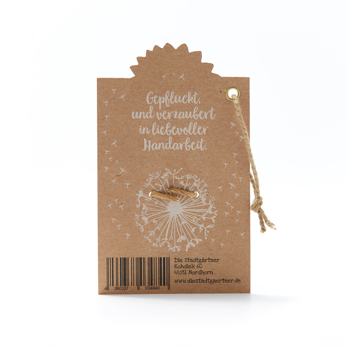 Wunscherfüller große Pusteblume im Glas