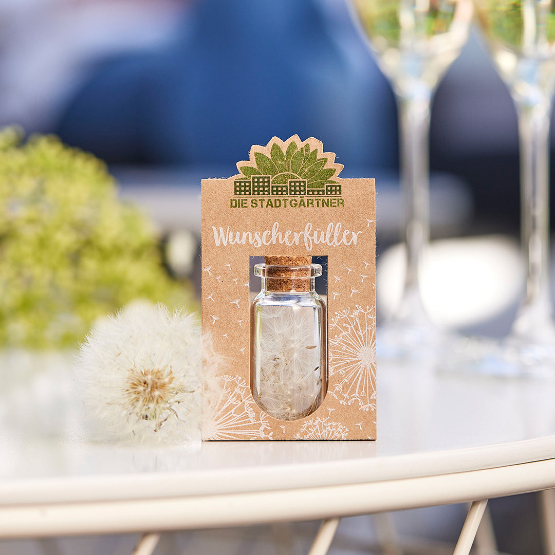 Wunscherfüller mittelgroße Pusteblume