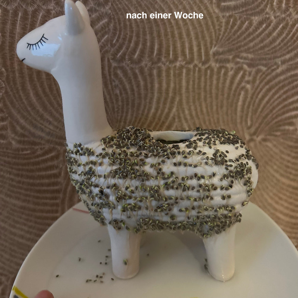 Lama Pflanztier Green Lama