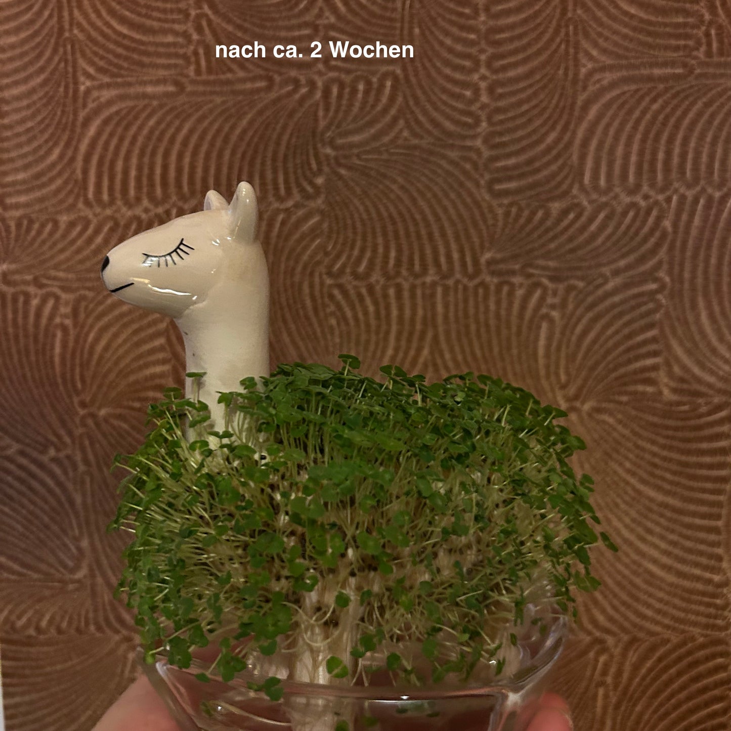Lama Pflanztier Green Lama