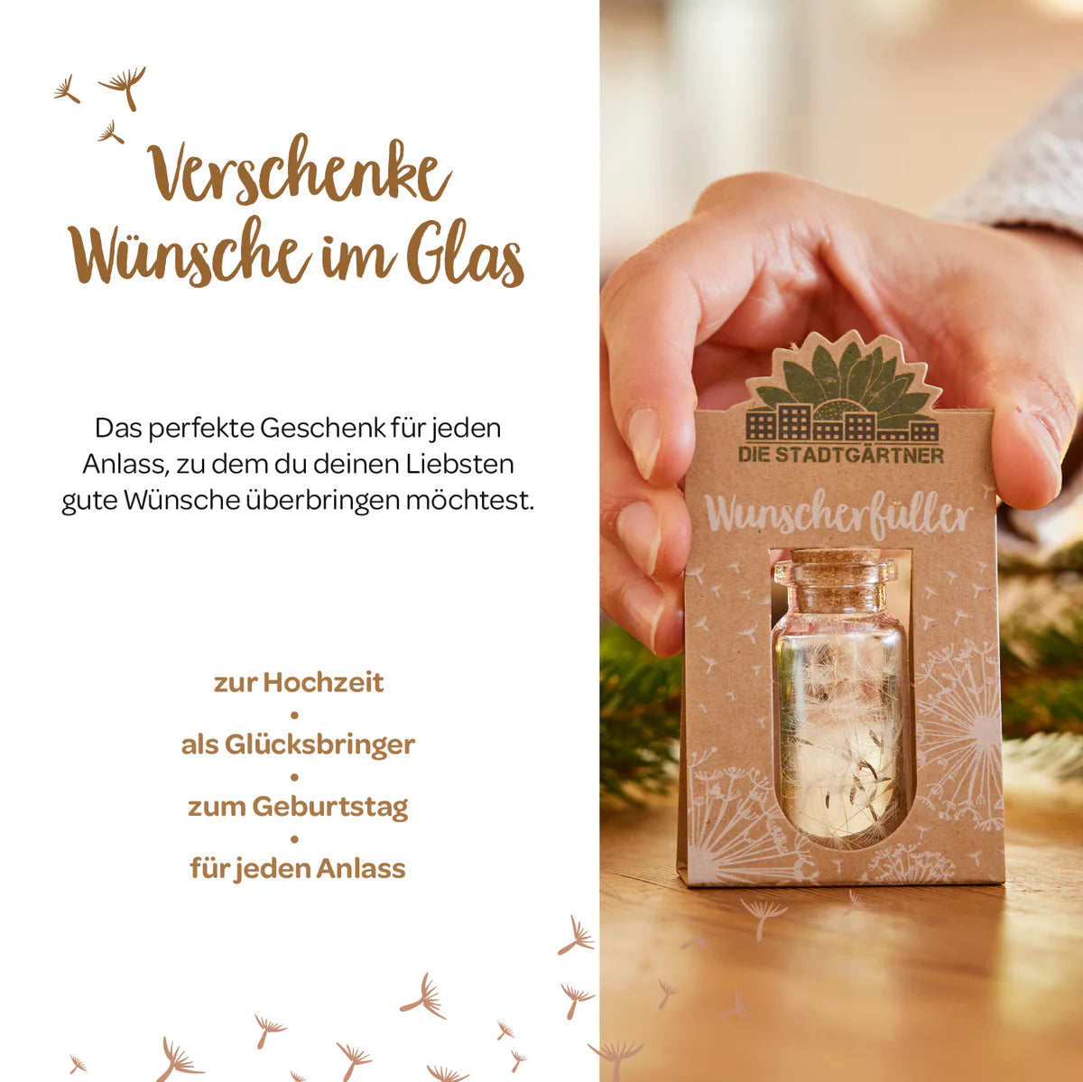 Wunscherfüller mittelgroße Pusteblume