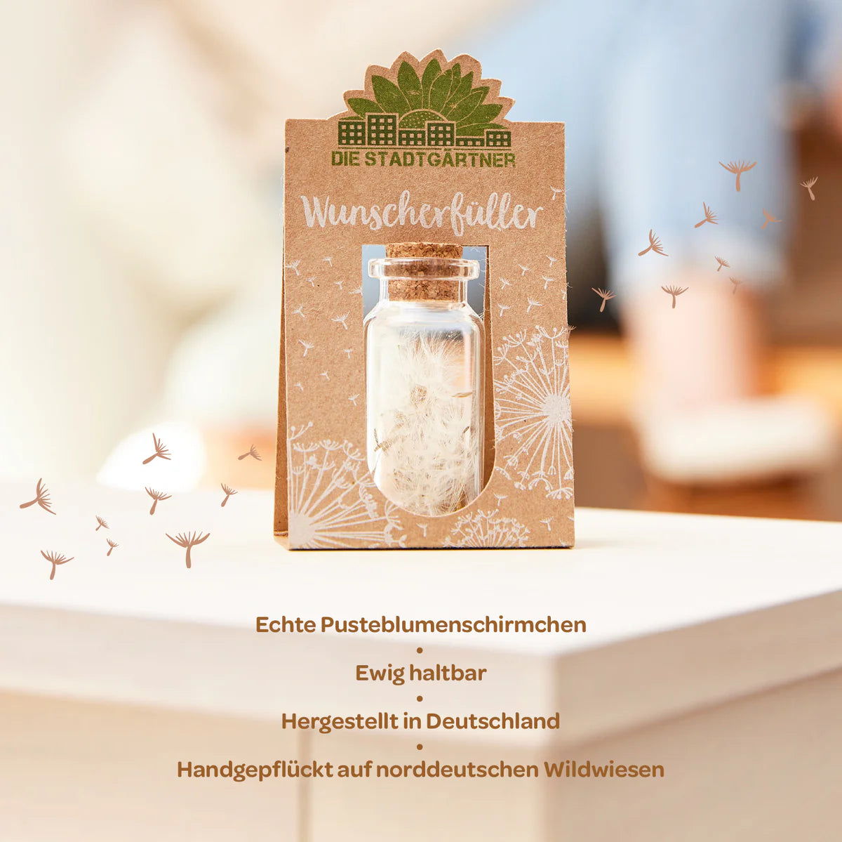 Wunscherfüller mittelgroße Pusteblume